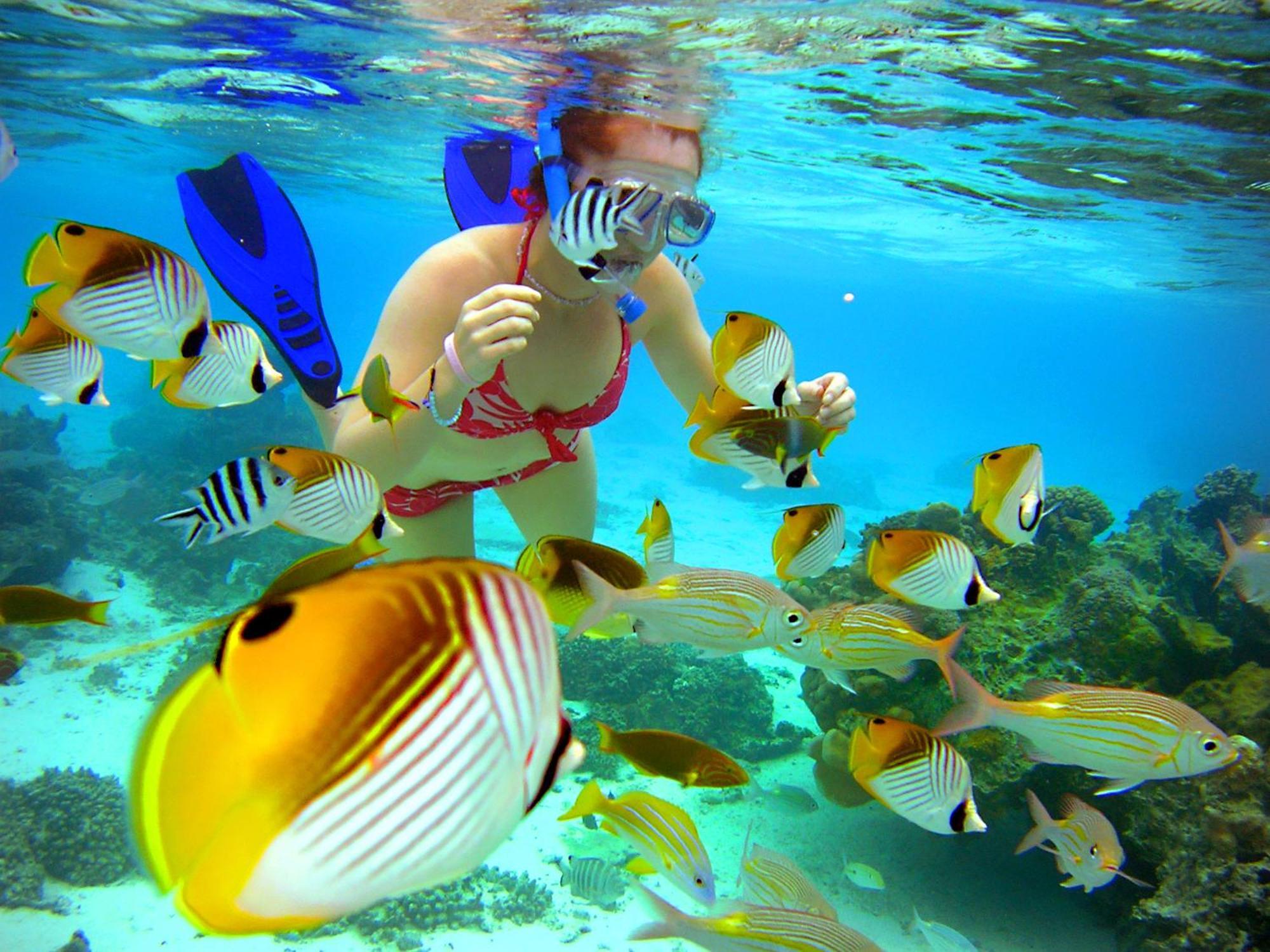 Sanctuary Rarotonga On The Beach (Adults Only) Bagian luar foto